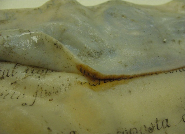 2. pergamena baganata 2. pergamena baganata