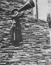 Il documento Sissco su archivi e biblioteche pubbliche